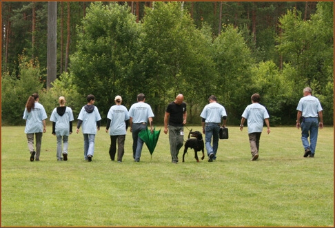 Cliff v.Beuchower Hof - Körung 2007